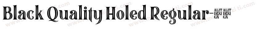 Black Quality Holed Regular字体转换
